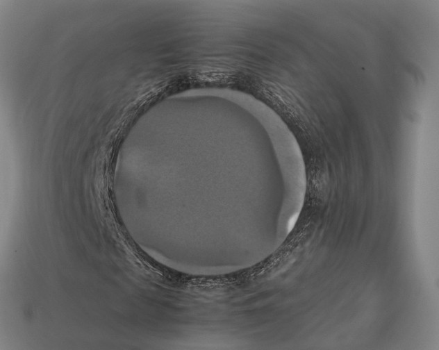 X0000113110817200909251050