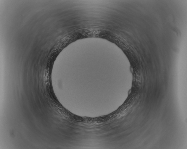 X0000113110818200909251050