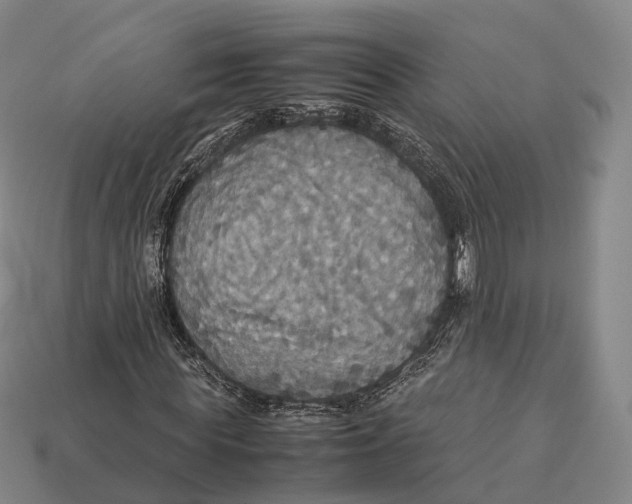 X0000113110819200909251050