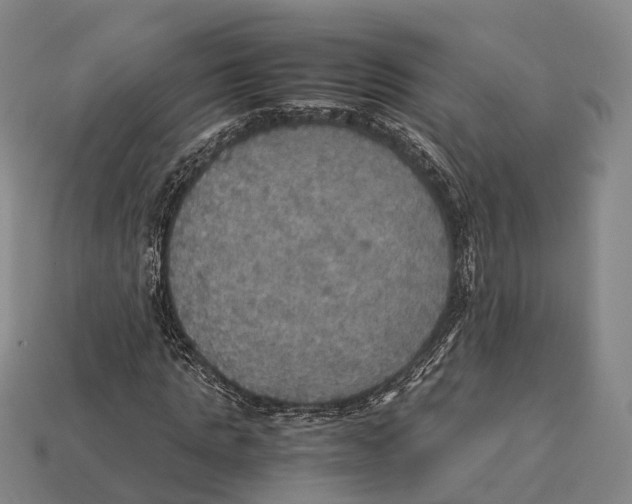 X0000113110821200909251050