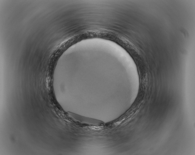 X0000113110822200909251050