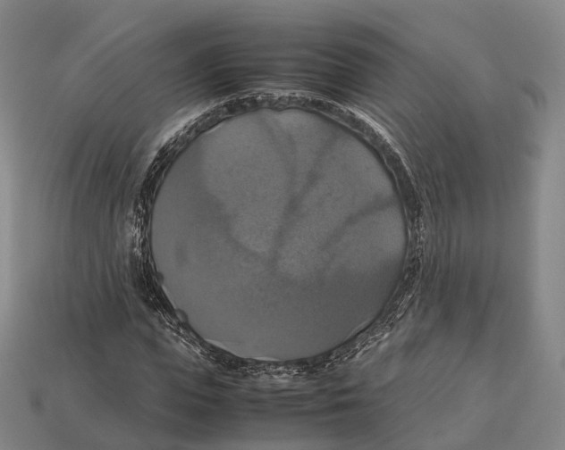 X0000113110823200909251050