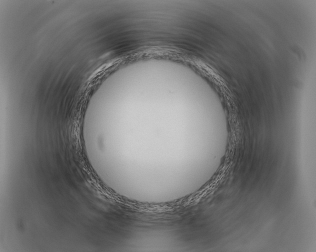 X0000113110824200909251050