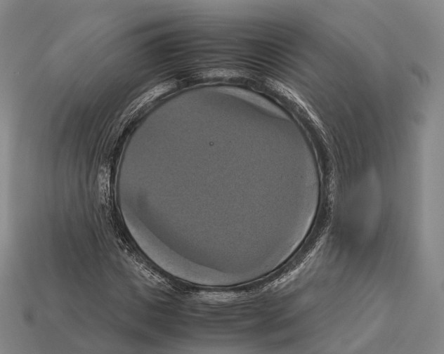 X0000113110825200909251050