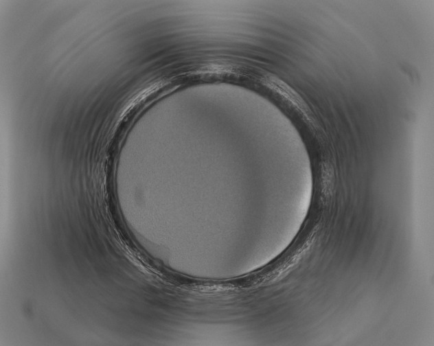 X0000113110826200909251050