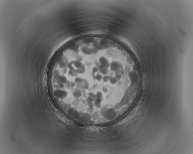 X0000113110827200909251050