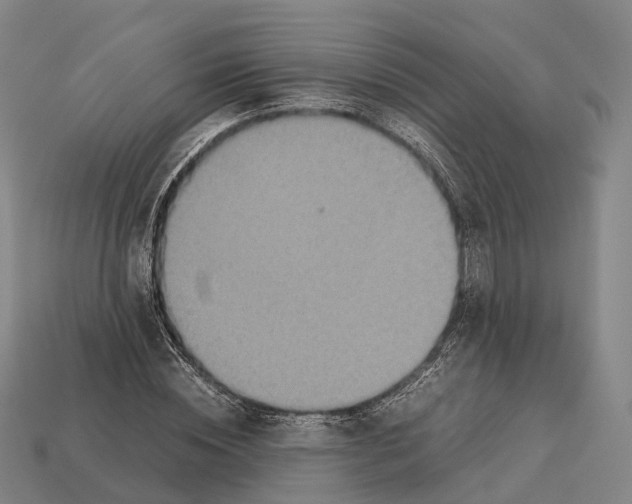 X0000113110828200909251050