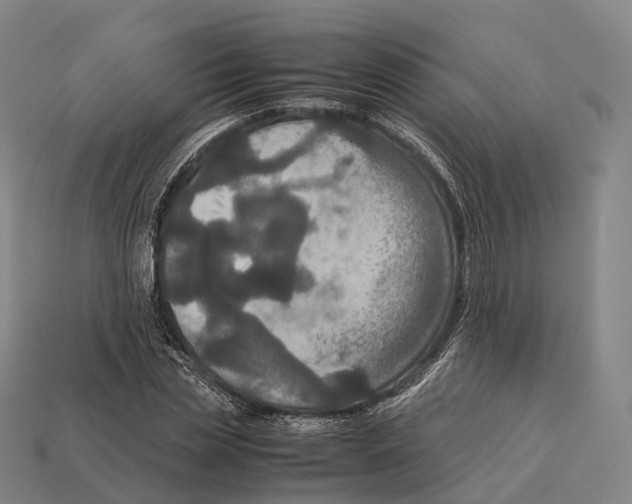 X0000113110829200909251050