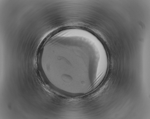 X0000113110830200909251050
