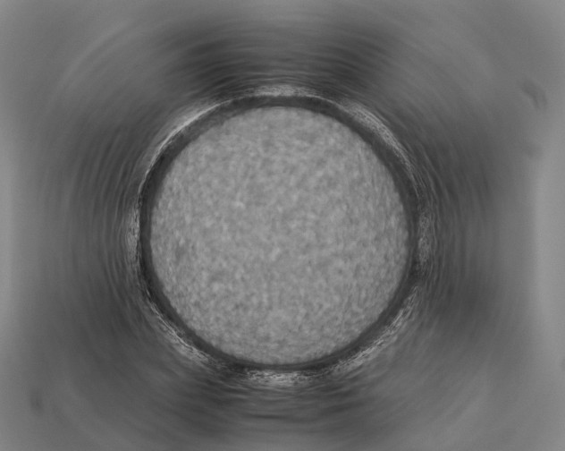 X0000113110831200909251050
