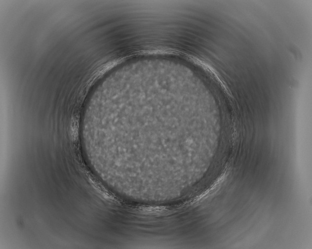 X0000113110833200909251050
