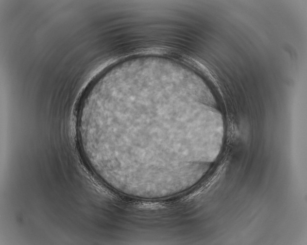 X0000113110835200909251050