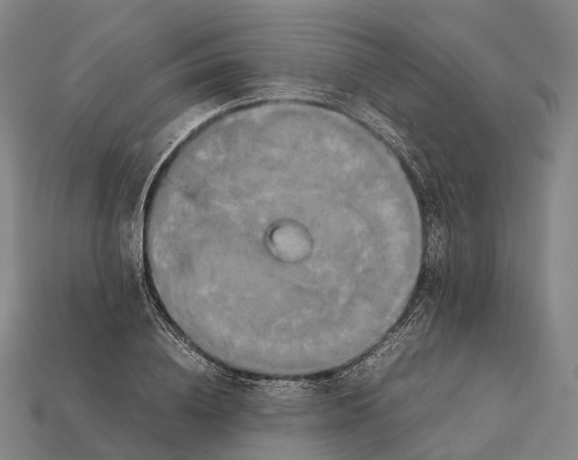 X0000113110836200909251050
