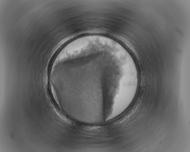 X0000113110837200909251050