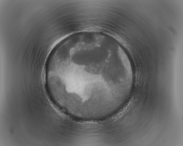 X0000113110838200909251050