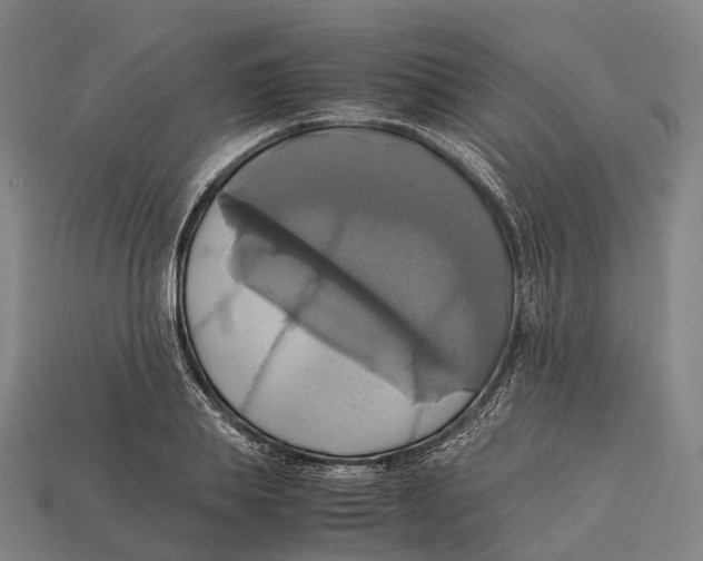 X0000113110839200909251050