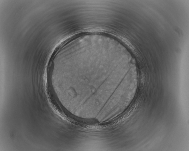 X0000113110840200909251050