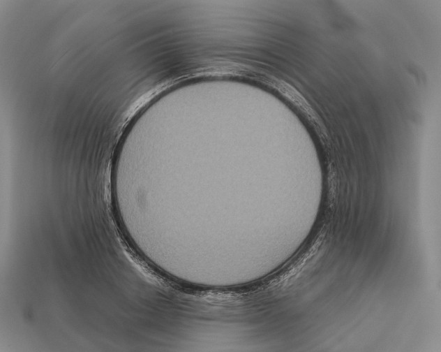 X0000113110842200909251051