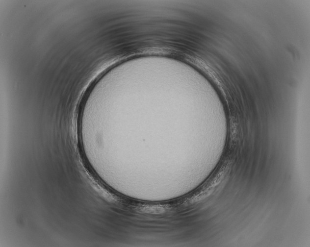 X0000113110843200909251051
