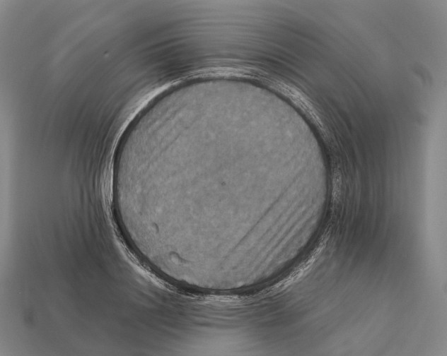 X0000113110844200909251051