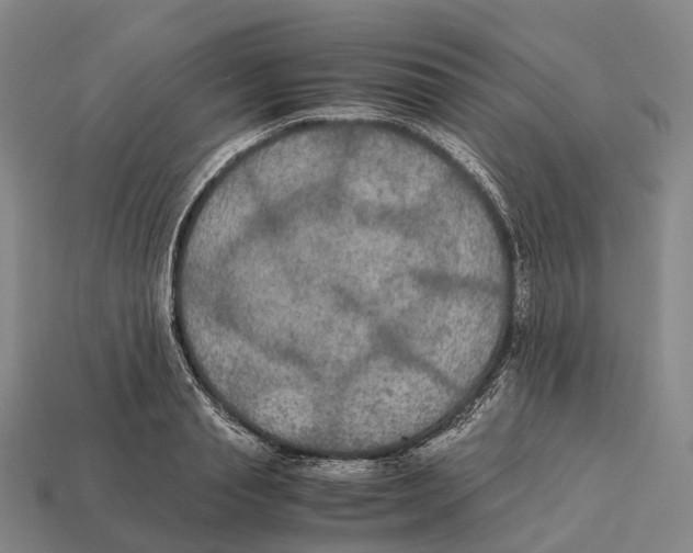 X0000113110845200909251051
