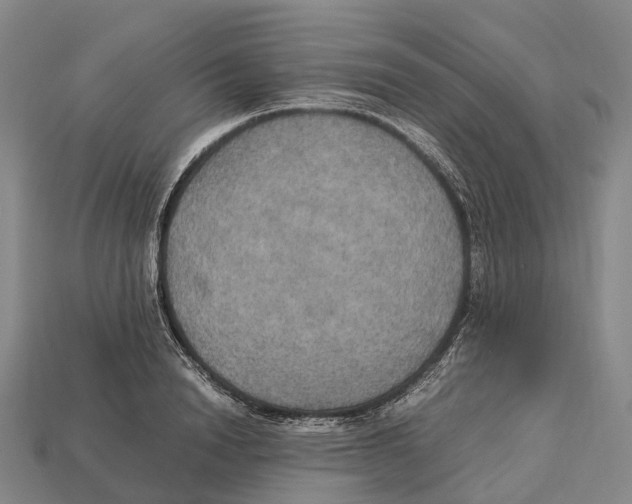 X0000113110846200909251051