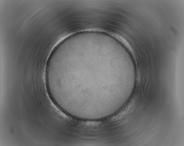 X0000113110847200909251051