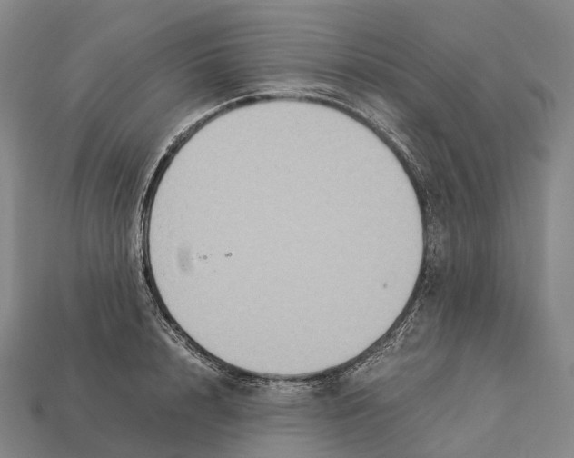 X0000113110848200909251051