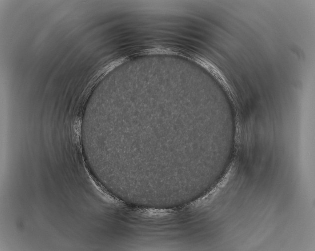 X0000113110849200909251051