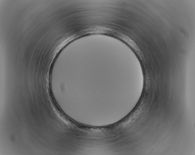 X0000113110850200909251051