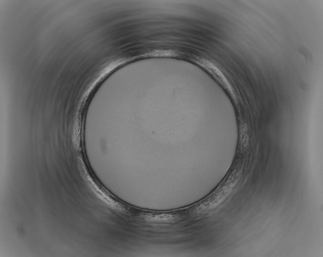 X0000113110851200909251051