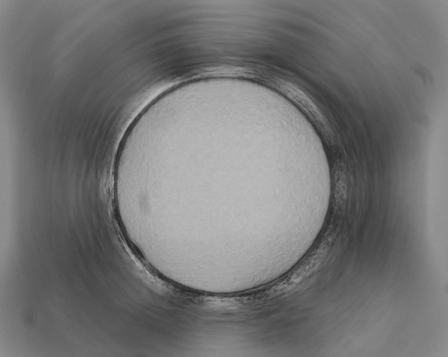 X0000113110852200909251051