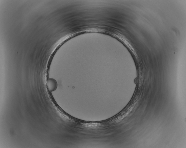 X0000113110853200909251051