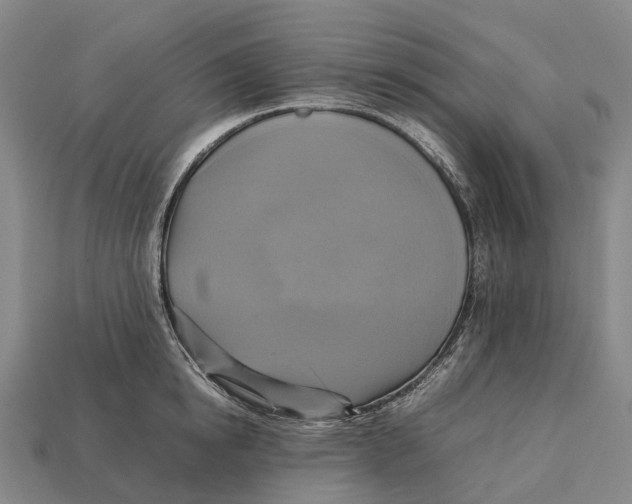 X0000113110854200909251051
