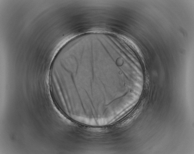 X0000113110855200909251051
