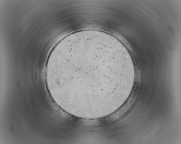 X0000113110856200909251051