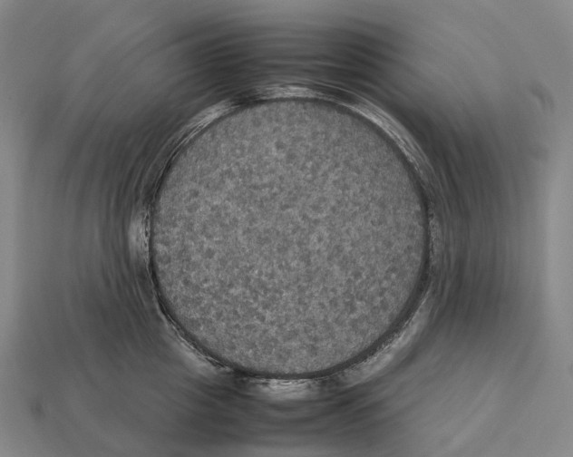 X0000113110857200909251051
