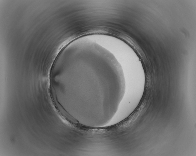 X0000113110858200909251051