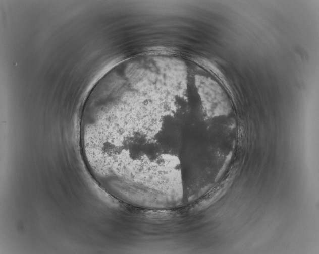 X0000113110859200909251051