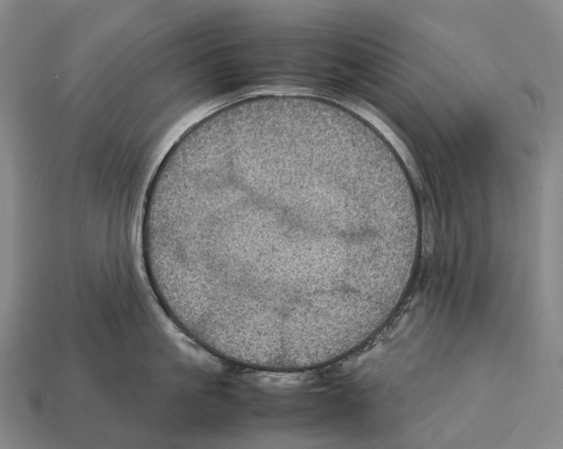 X0000113110861200909251051