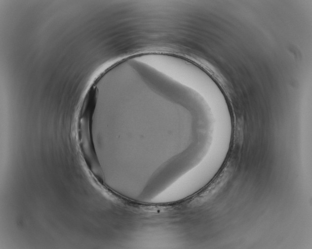 X0000113110862200909251051