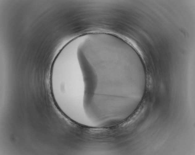 X0000113110863200909251051