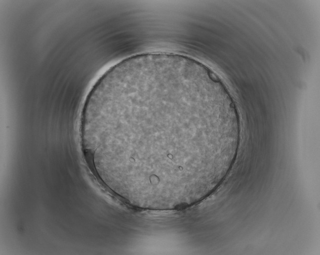 X0000113110864200909251051