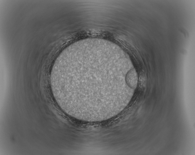 X0000113110865200909251050