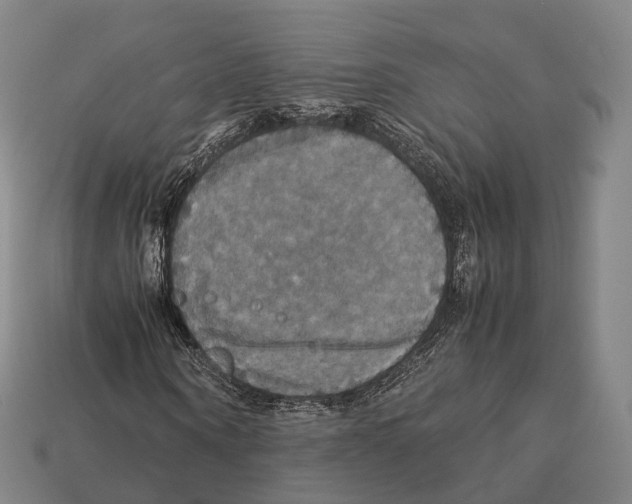 X0000113110866200909251050