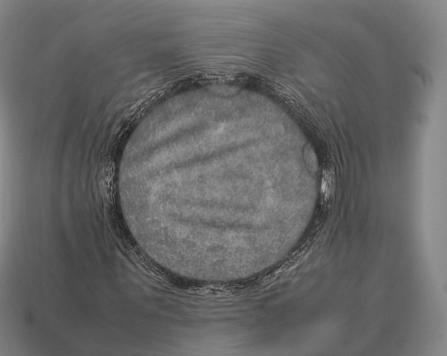 X0000113110867200909251050