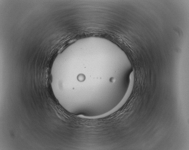 X0000113110868200909251050
