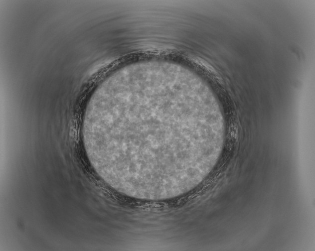 X0000113110869200909251050