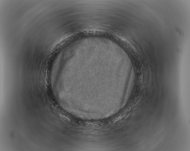 X0000113110870200909251050