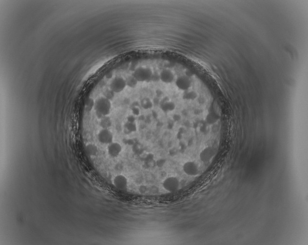 X0000113110871200909251050